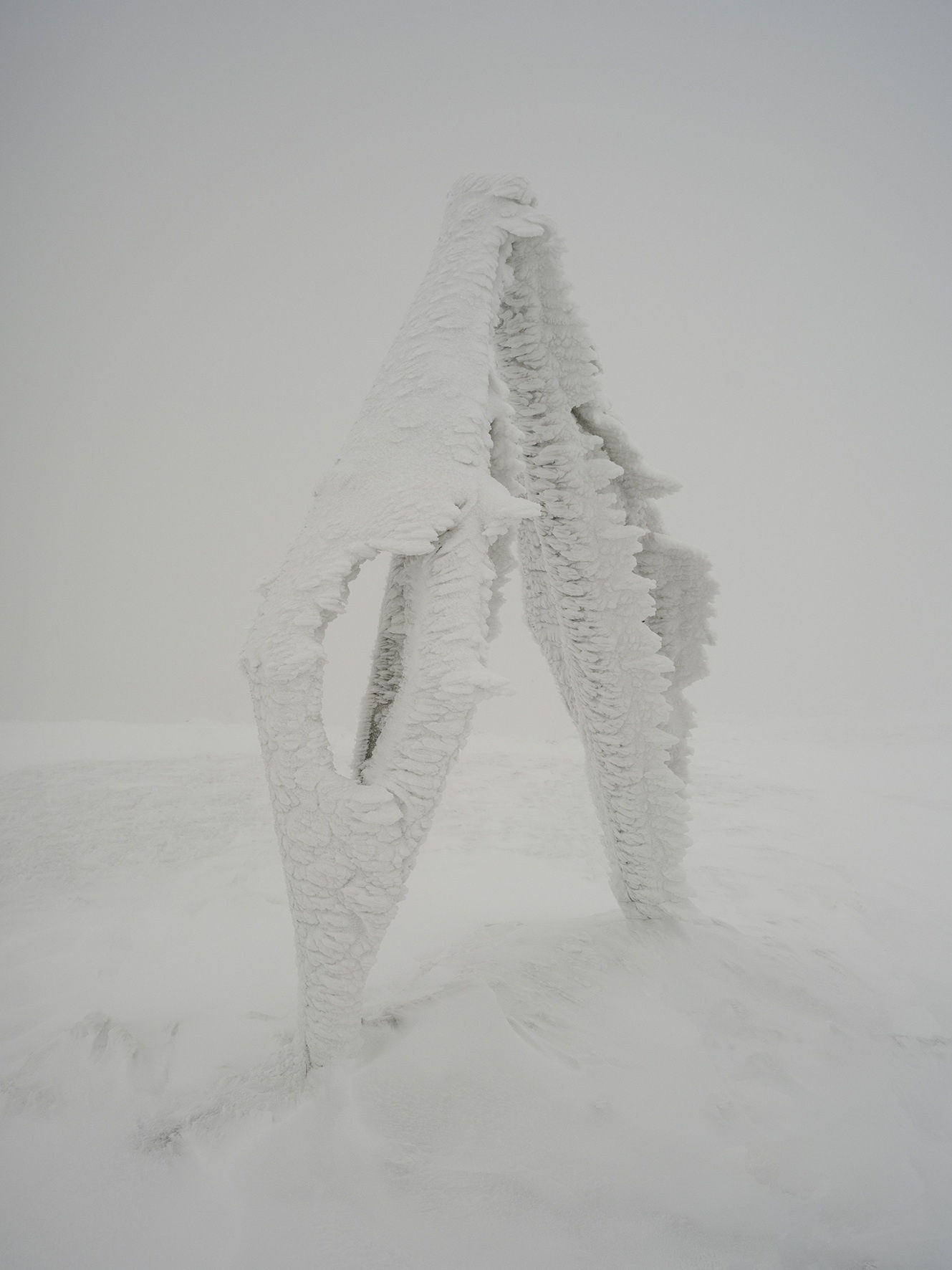 Sabine Mirlesse, Installation view, Chrystalline, summit of the Puy-de-Dôme volcano, France.