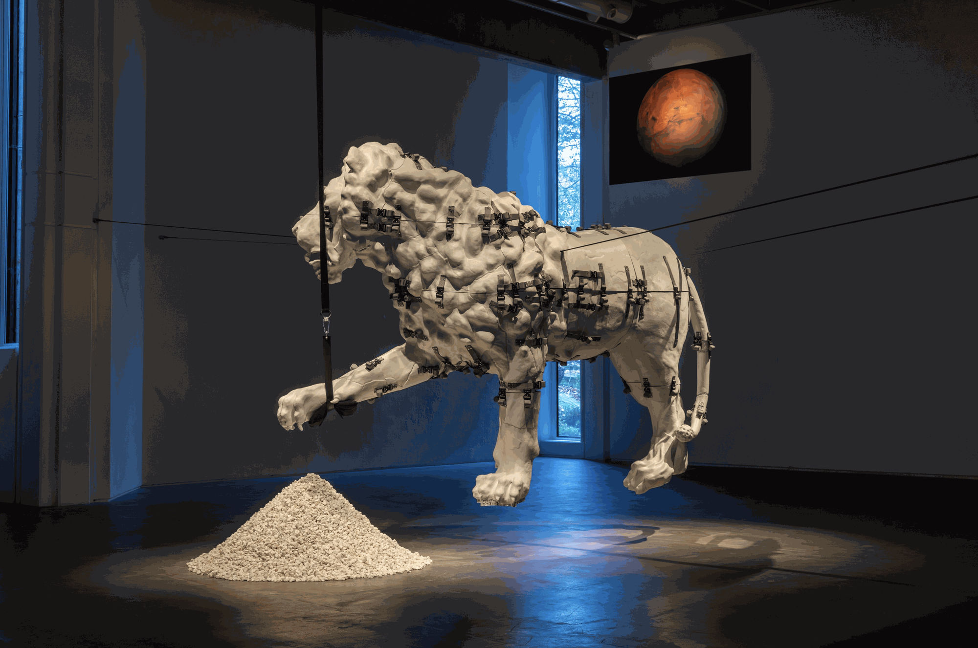 Siobhán Hapaska Installation view, Medici Lion, Hyde Douglas Gallery, 2023.