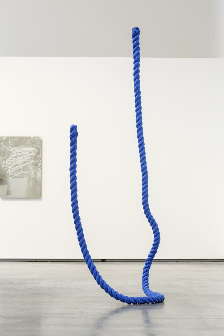 Tony Matelli Installation view "New Gravity", The Davis, Wellesley College, USA, 2014