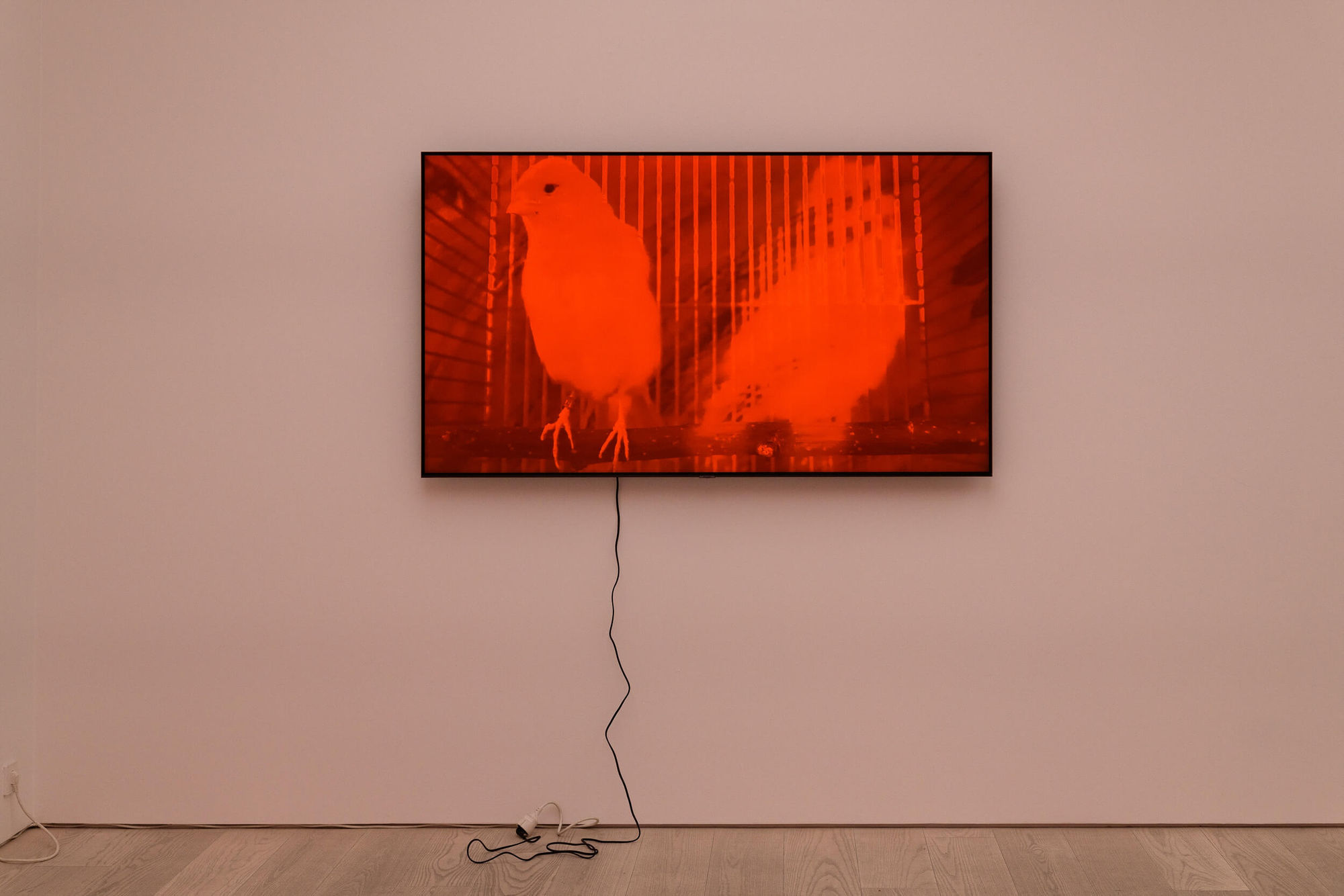 Annika Larsson Installation view, ''STRANGE POWERS', Andréhn-Schiptjenko, Stockholm, Sweden, 2023