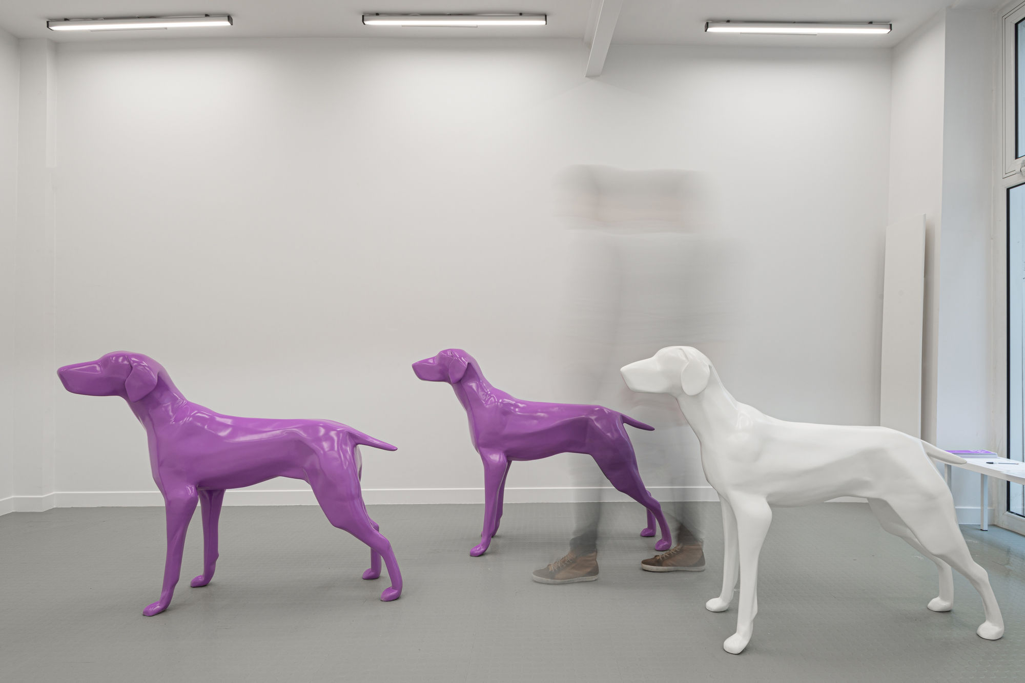 Installation view, Xavier Veilhan, Chien, at Andr&eacute;hn-Schiptjenko, Paris, 2020. &copy; C. Maignien