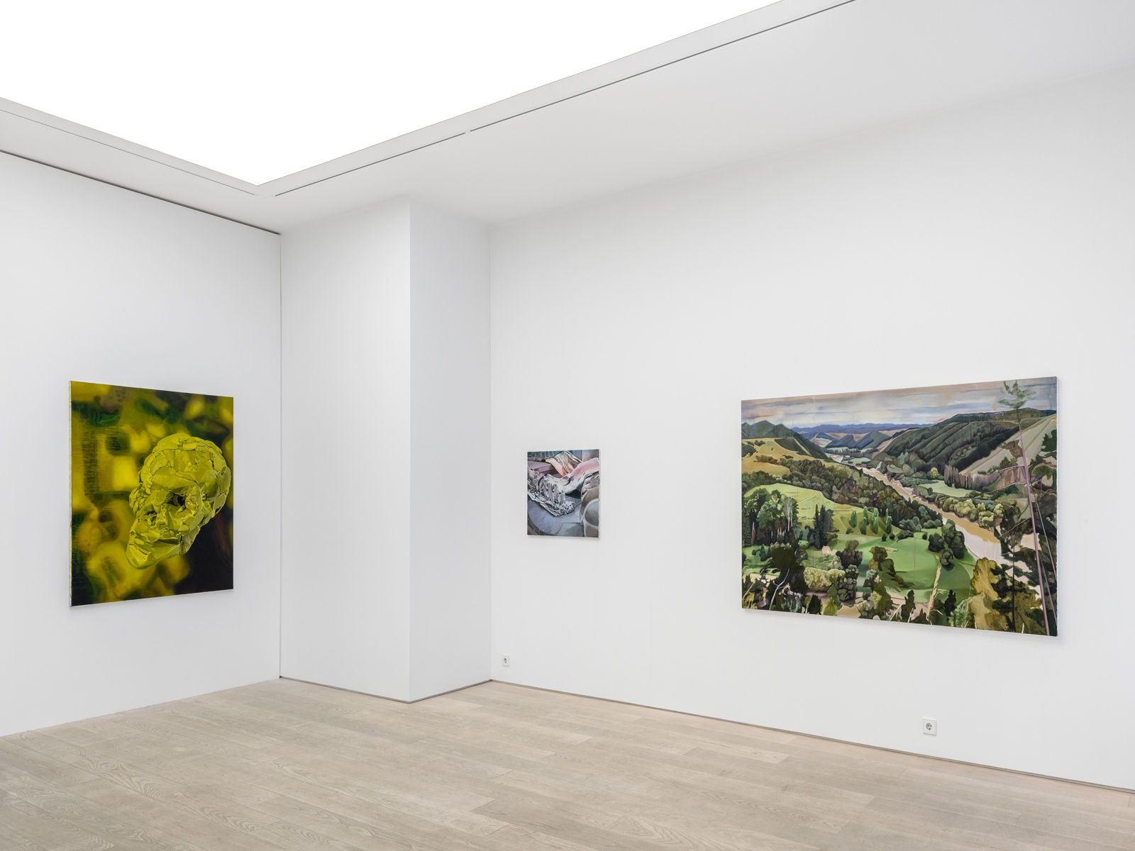 Kristina Jansson Installation view, Paintings For People In Trouble, Andréhn-Schiptjenko, Stockholm, Sweden, 2024