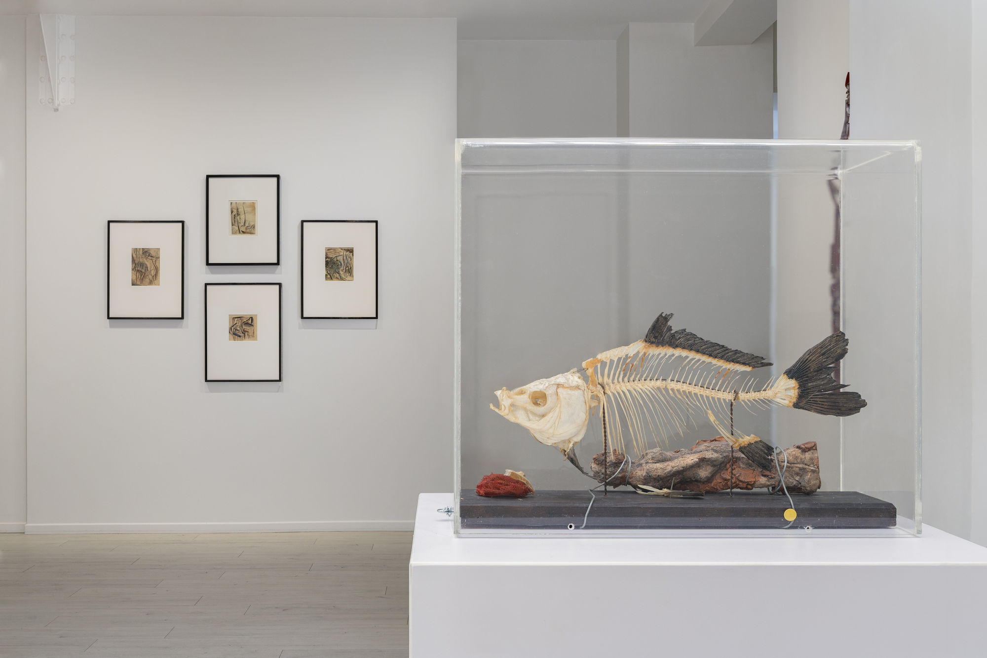 Siri Derkert Installation view, Andréhn-Schiptjenko Paris, 2025.