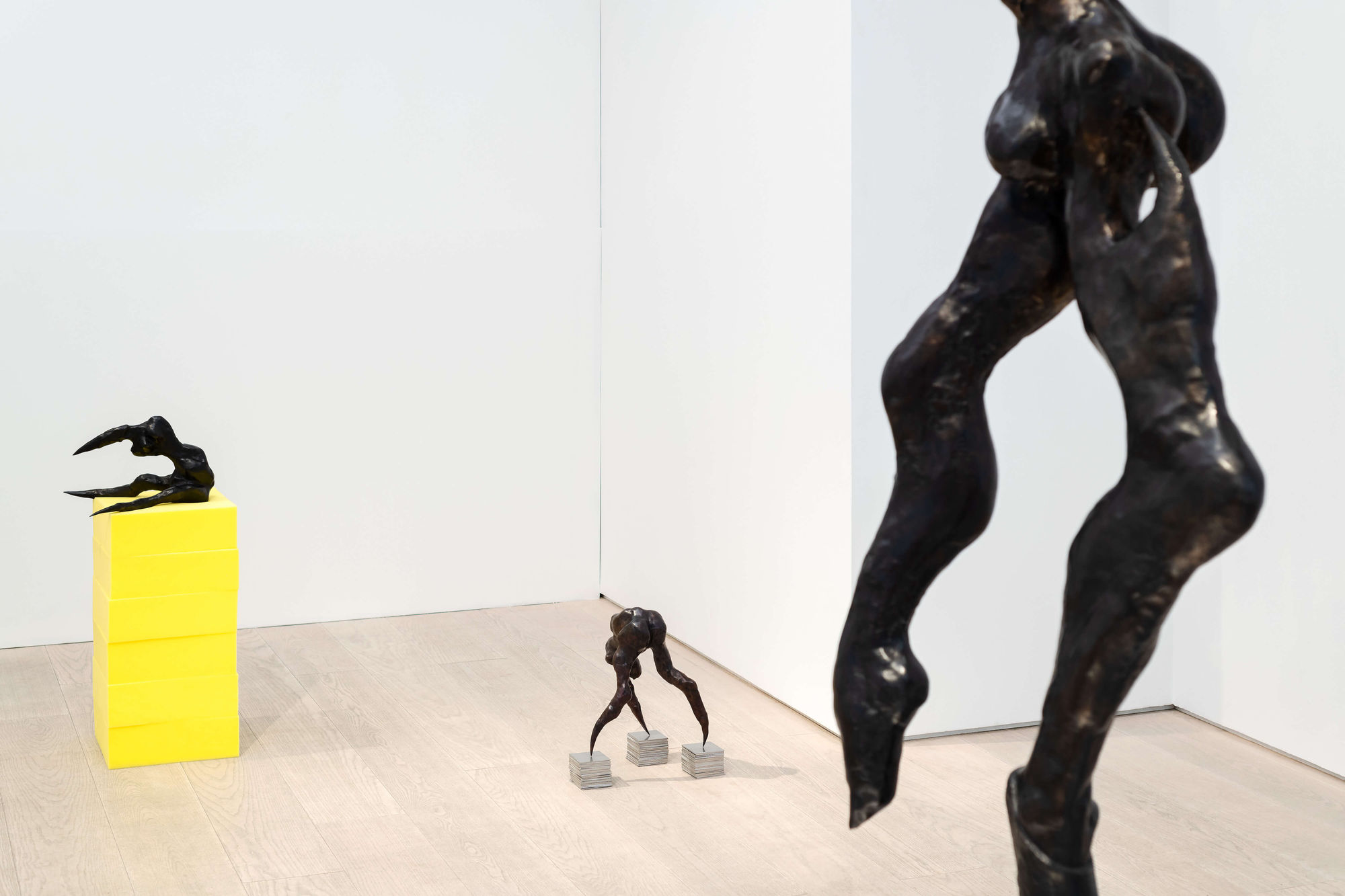 Sally von Rosen Installation view 'On Three Legs' Andréhn-Schiptjenko, Stockholm, Sweden, 2026