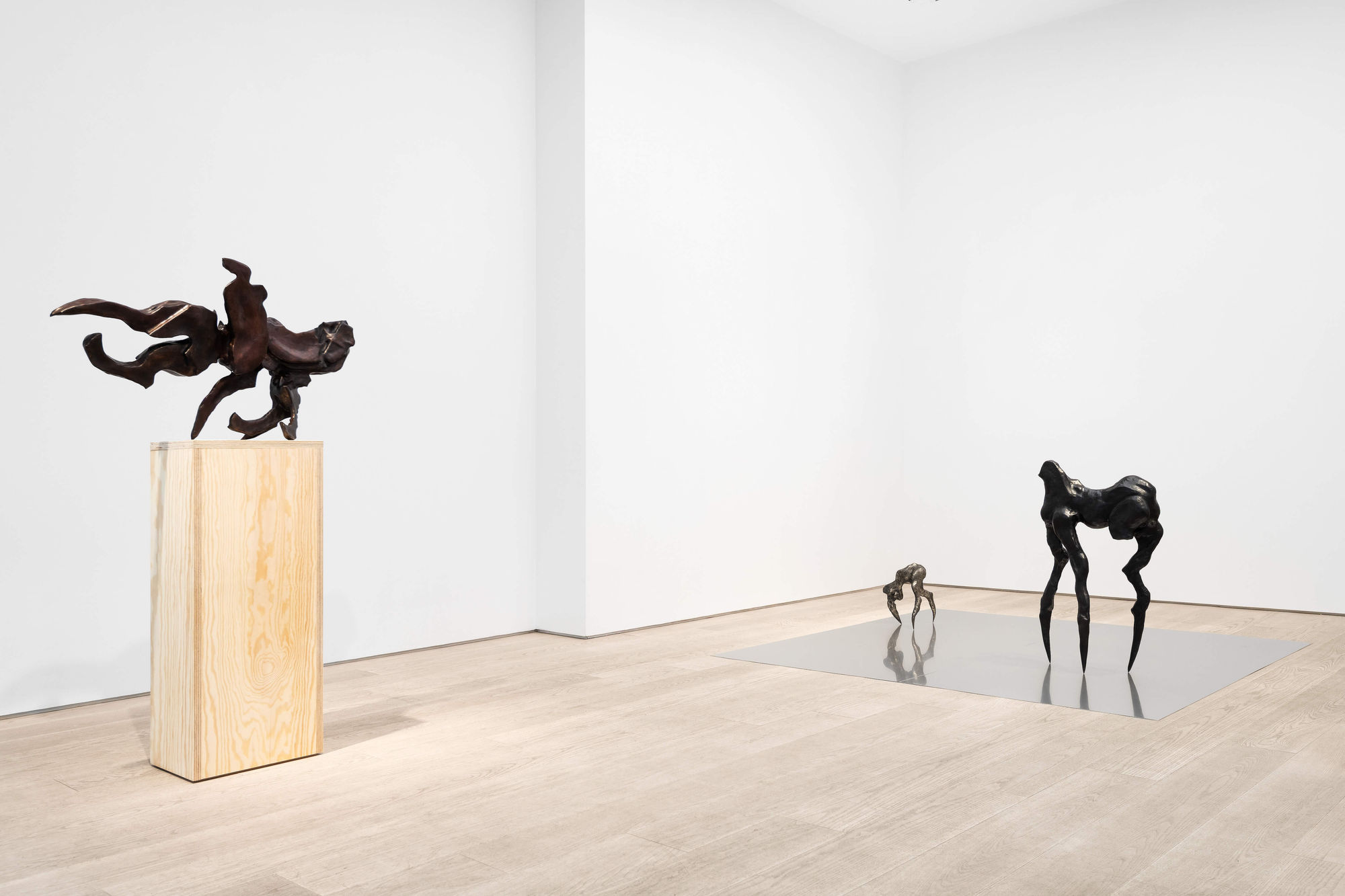 Sally von Rosen Installation view 'On Three Legs' Andréhn-Schiptjenko, Stockholm, Sweden, 2026