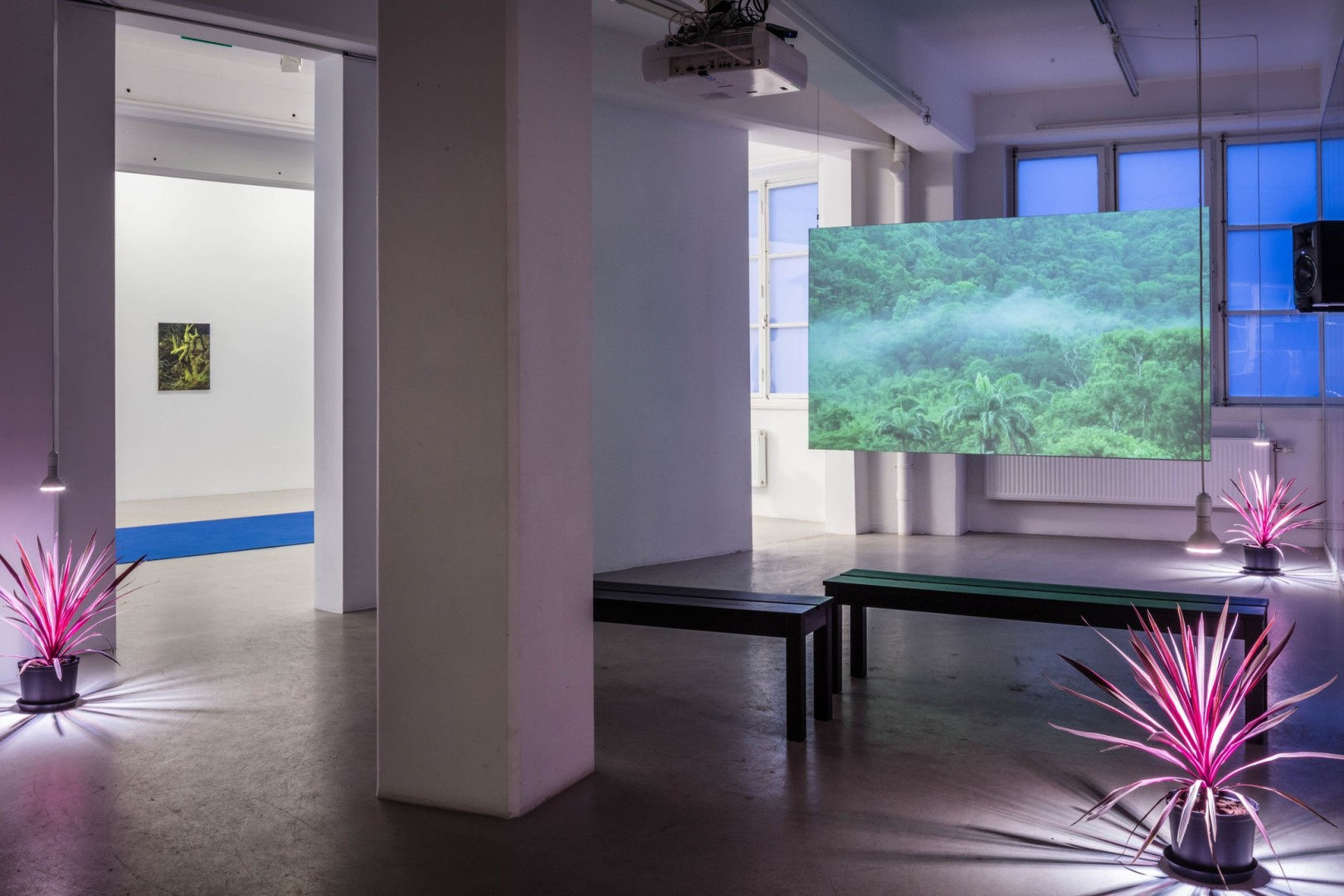 Santiago Mostyn Installation view "The Warming Plateau", Andréhn-Schiptjenko, Stockholm, Sweden, 2018