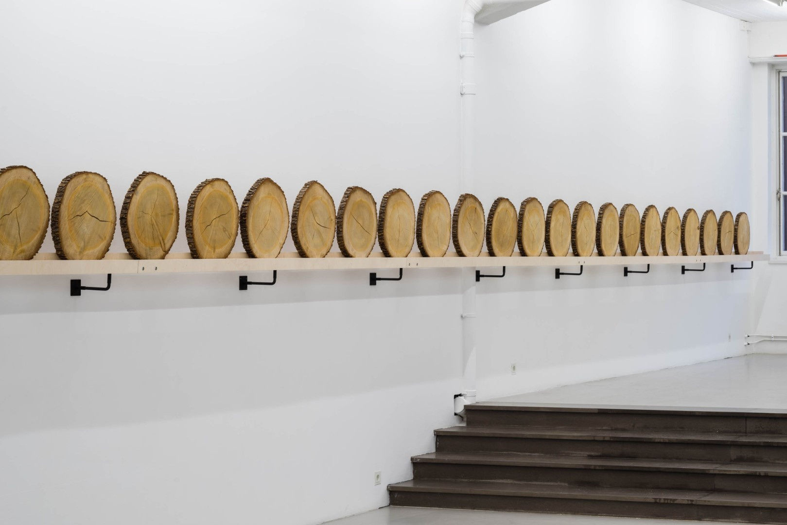 Xavier Veilhan Installation view "Cedar" Andréhn-Schiptjenko Stockholm, 2015