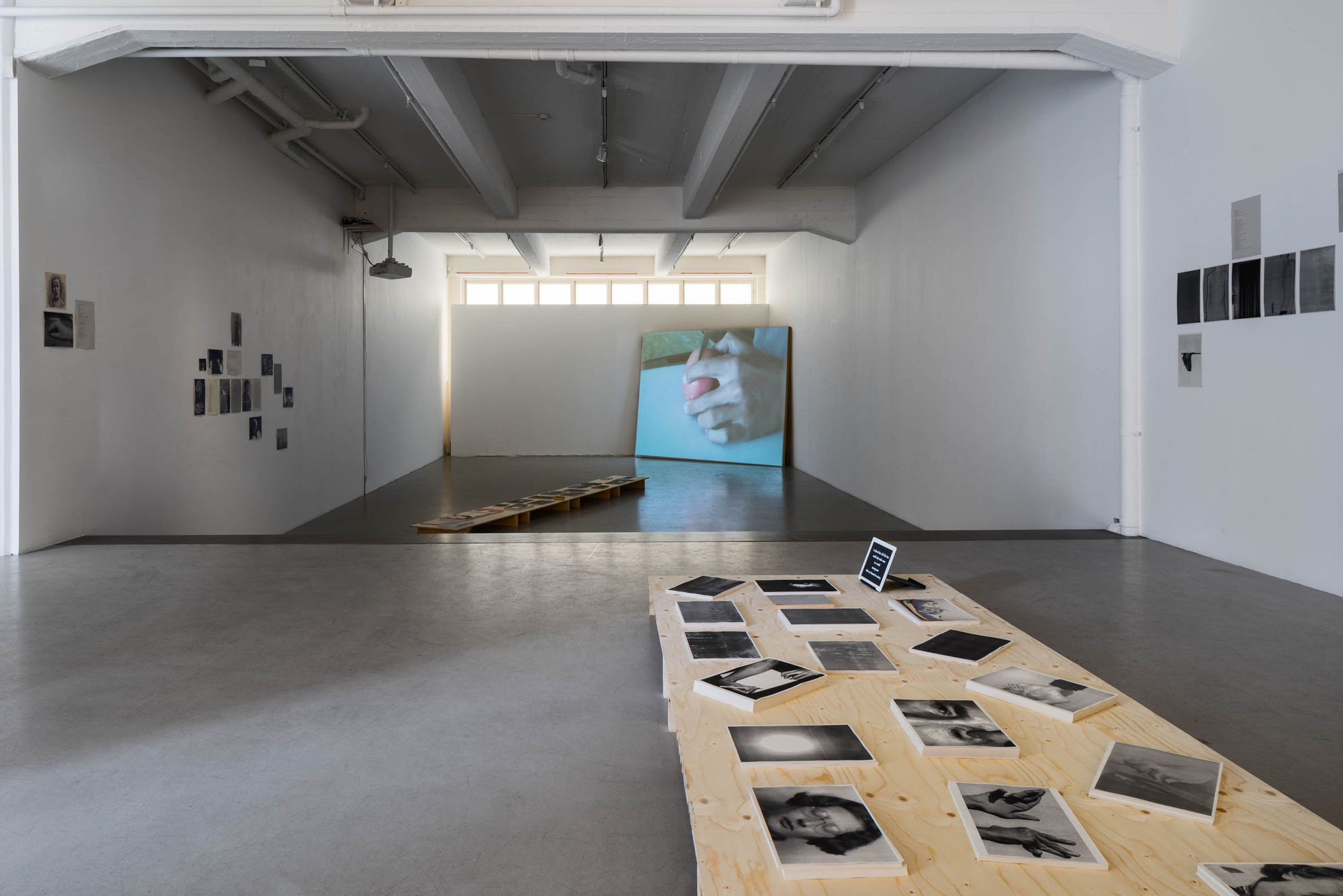 Installation view BLUE, Annika Larsson at Andréhn-Schiptjenko, Stockholm, Sweden, 2015