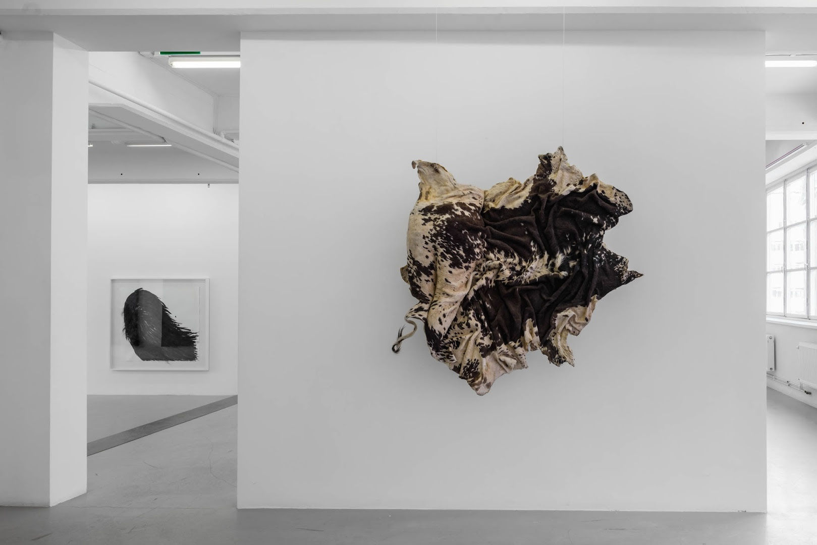 Nandipha Mntambo Installation view, Andréhn-Schiptjenko, Stockholm, Sweden 2015