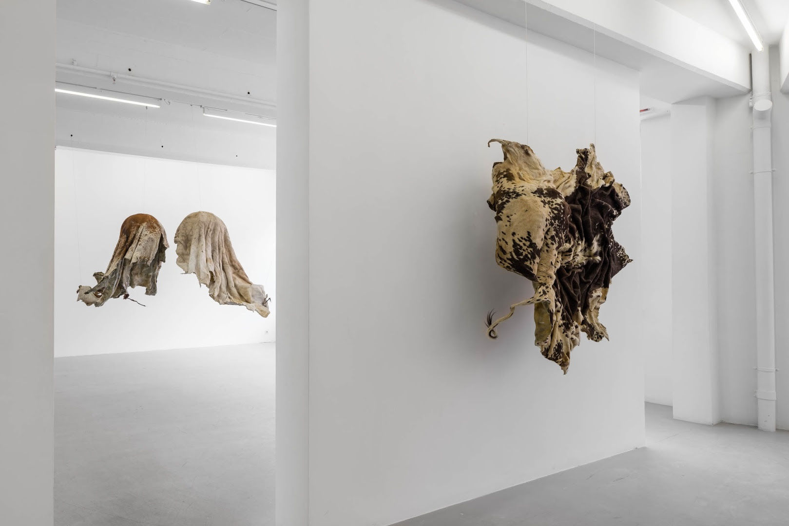 Nandipha Mntambo Installation view, Andréhn-Schiptjenko, Stockholm, Sweden 2015