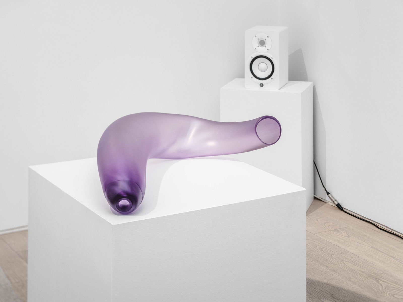 Dana-Fiona Armour Installation view, A Tale of Symbiogenesis, Andréhn-Schiptjenko, Stockholm, Sweden, 2023