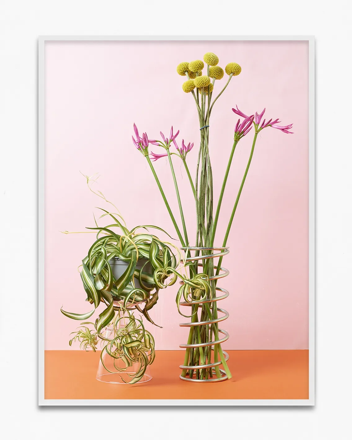 Annette Kelm, , 2020