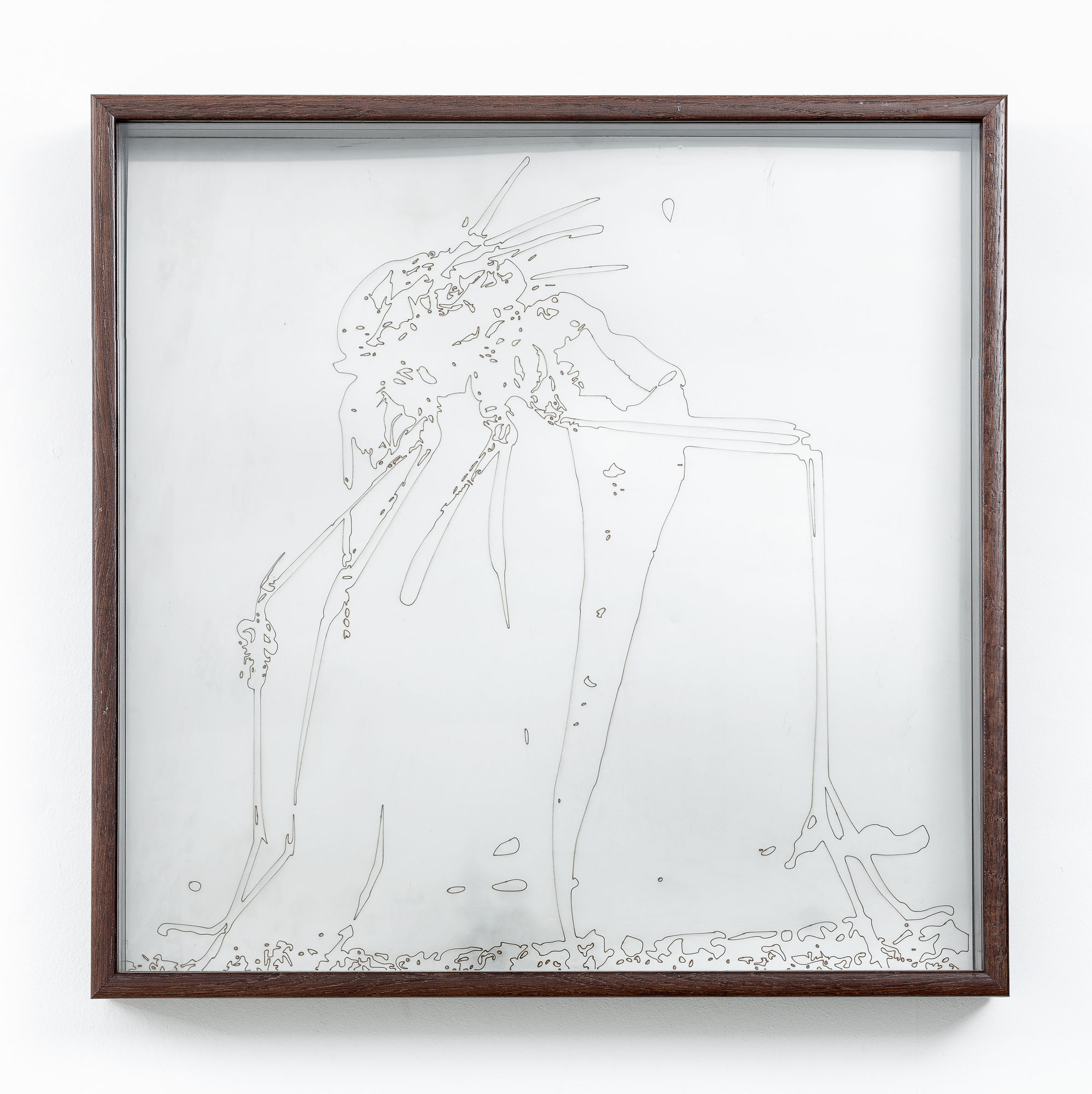 Мотылёк и летучая мышь летят на свет