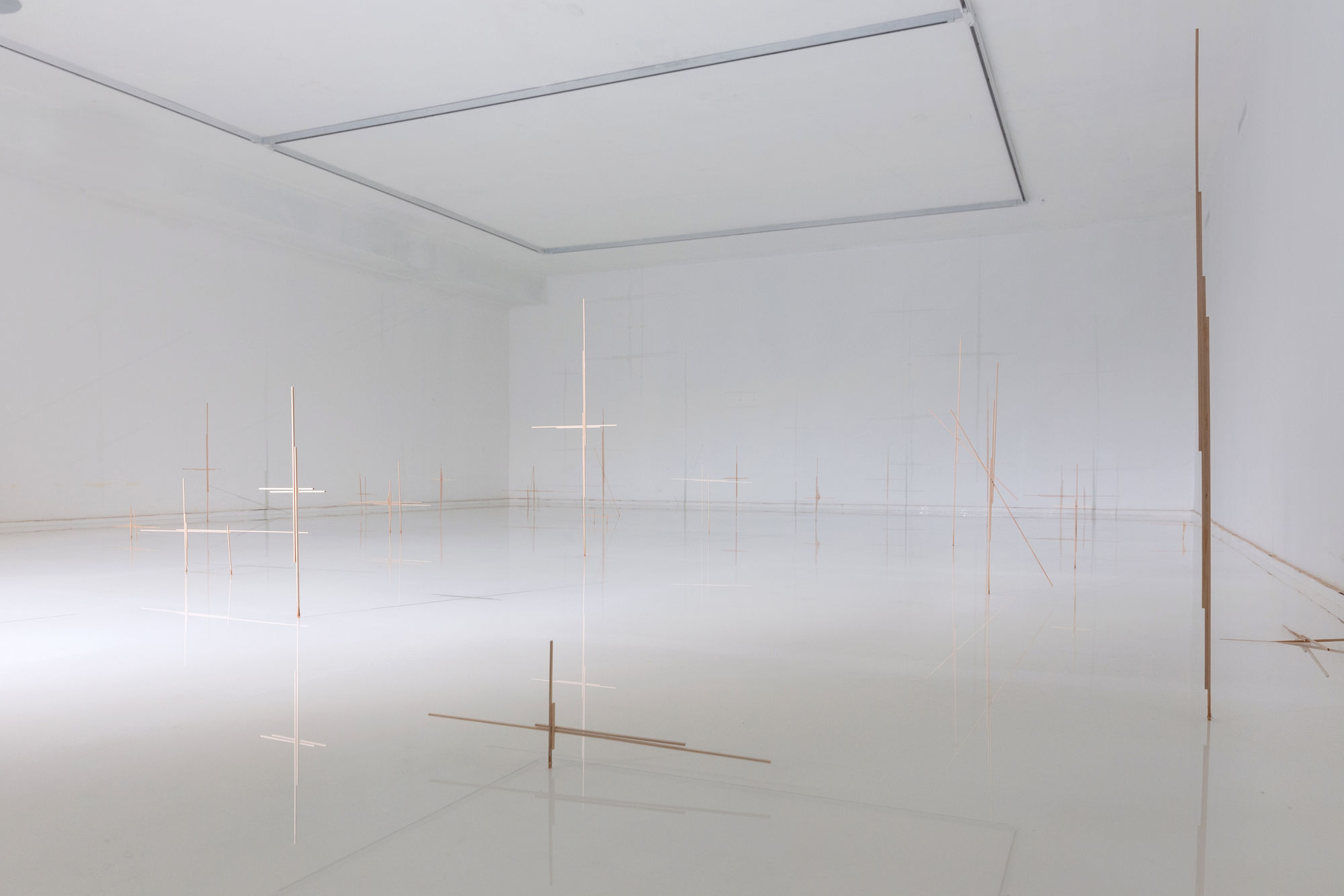 Время земли