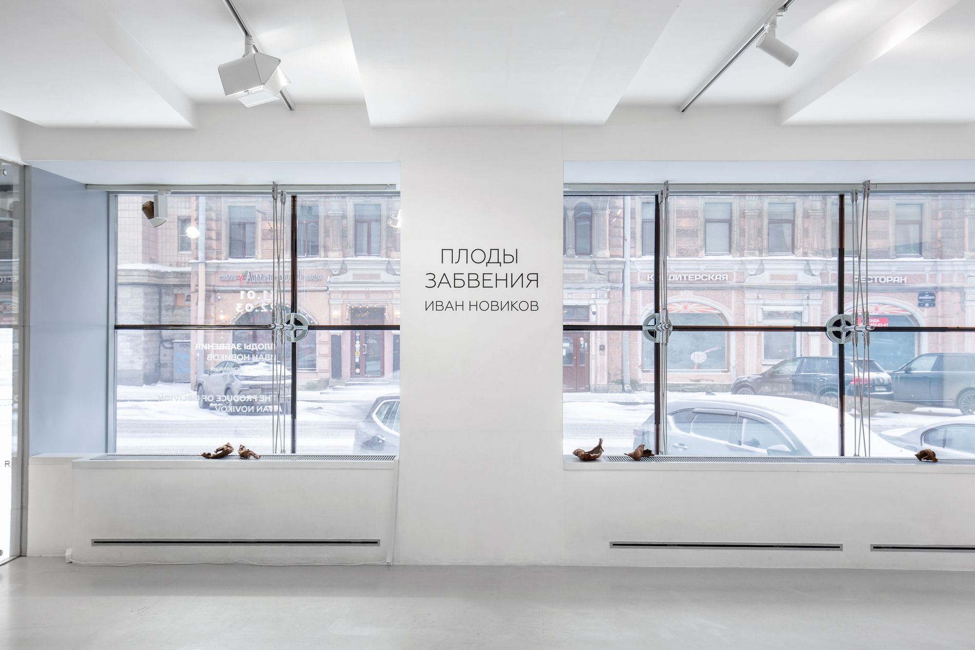 Плоды забвения