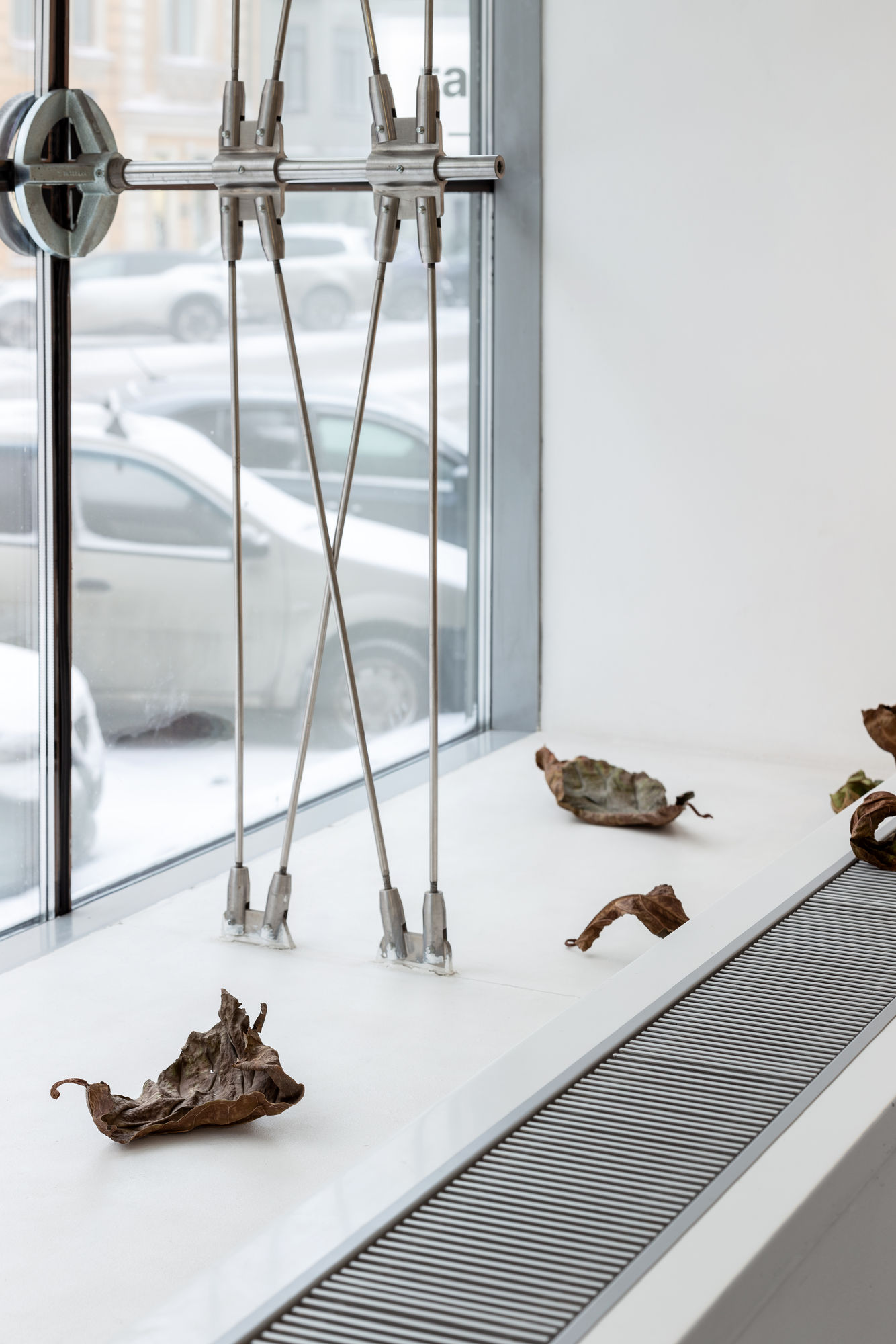 Плоды забвения