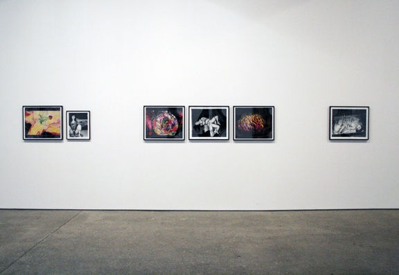 Installation view of Araki's rarely seen body of work. Color works featured.