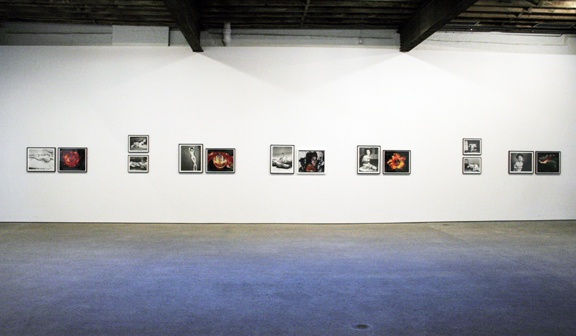 Installation view of Araki's rarely seen body of work. Some works featured .