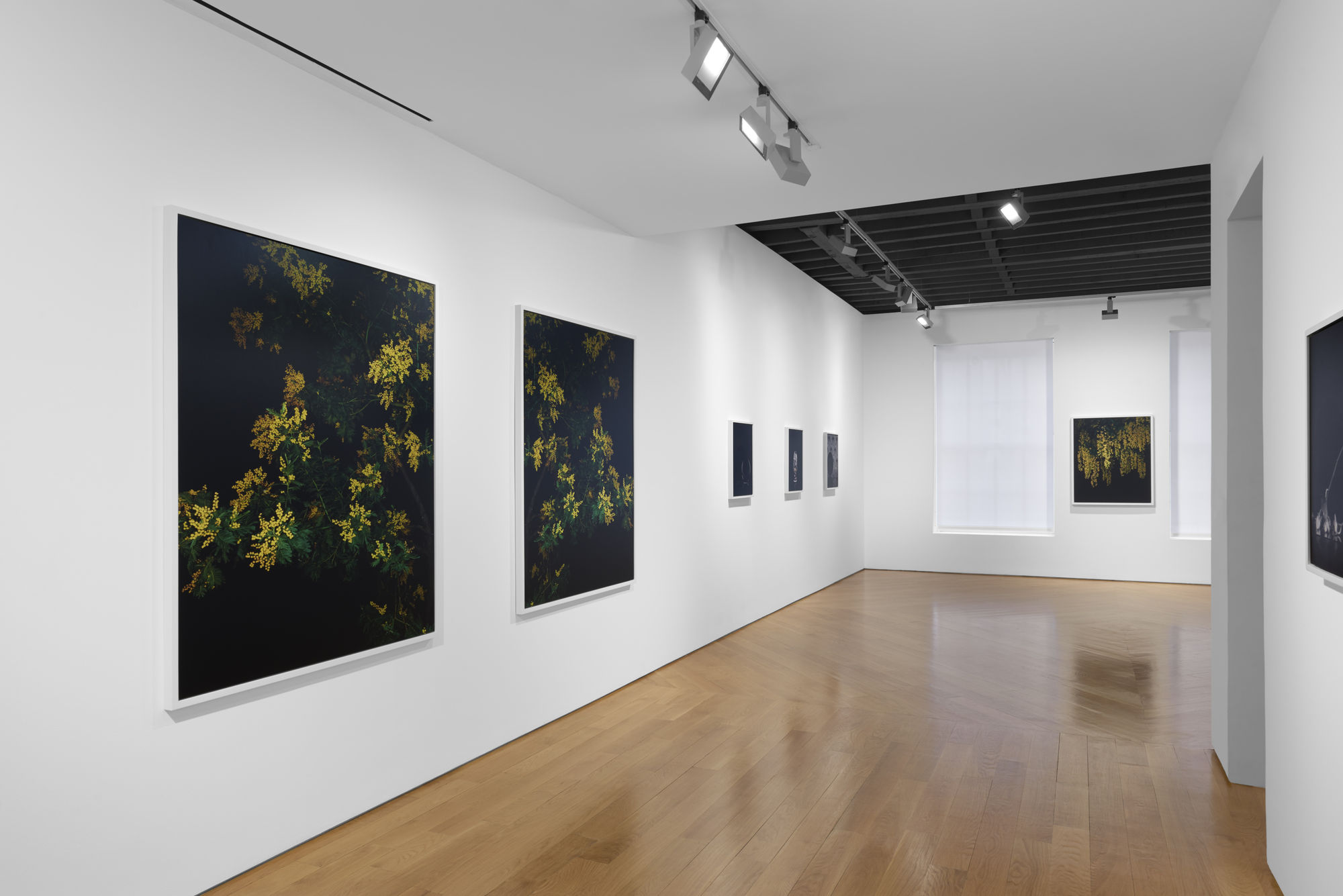 Sarah Jones: Gazing Ball