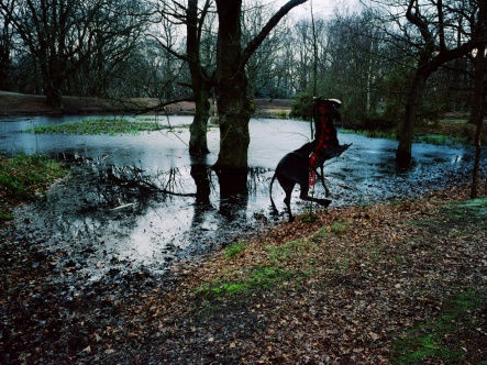 PARK HYUNGGEUN, UNTITLED-6, A PAPER HORSE, 2004