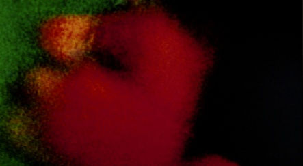 CI KIM, CIKTM00022, 2006