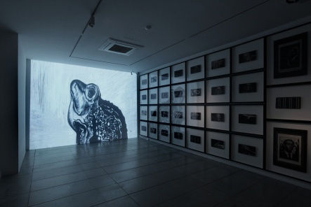 SUN XUN, SOME ACTIONS WHICH HAVEN'T BEEN DEFINED YET IN THE REVOLUTION, 2011