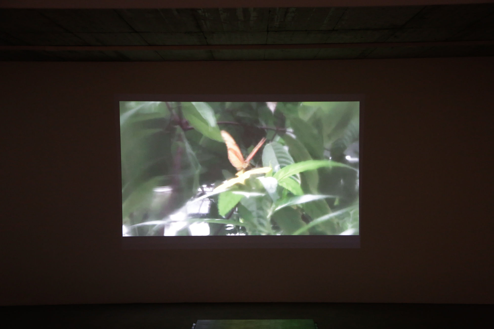 COULD BE ANY PLACE...