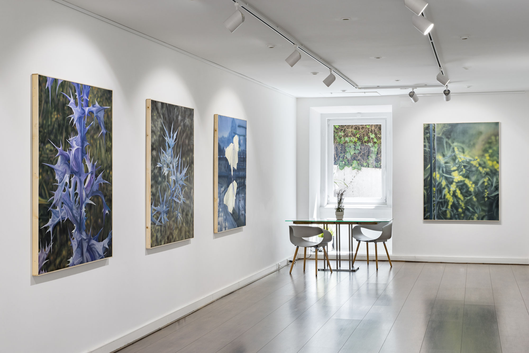 Tom Solty - FLYING IN A SILVER PLANE