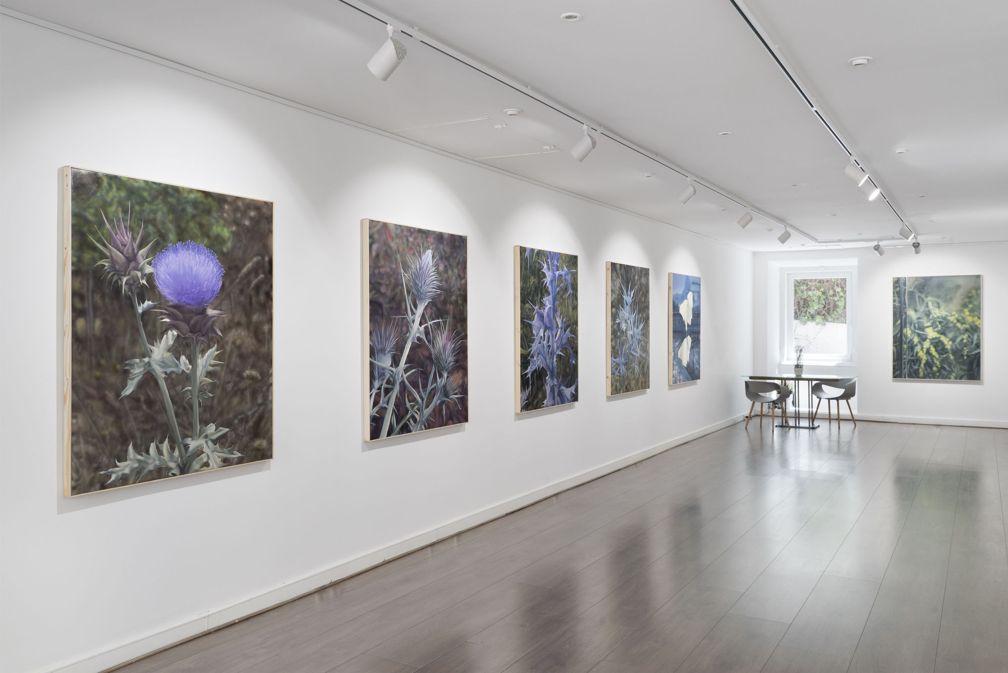 Tom Solty - FLYING IN A SILVER PLANE