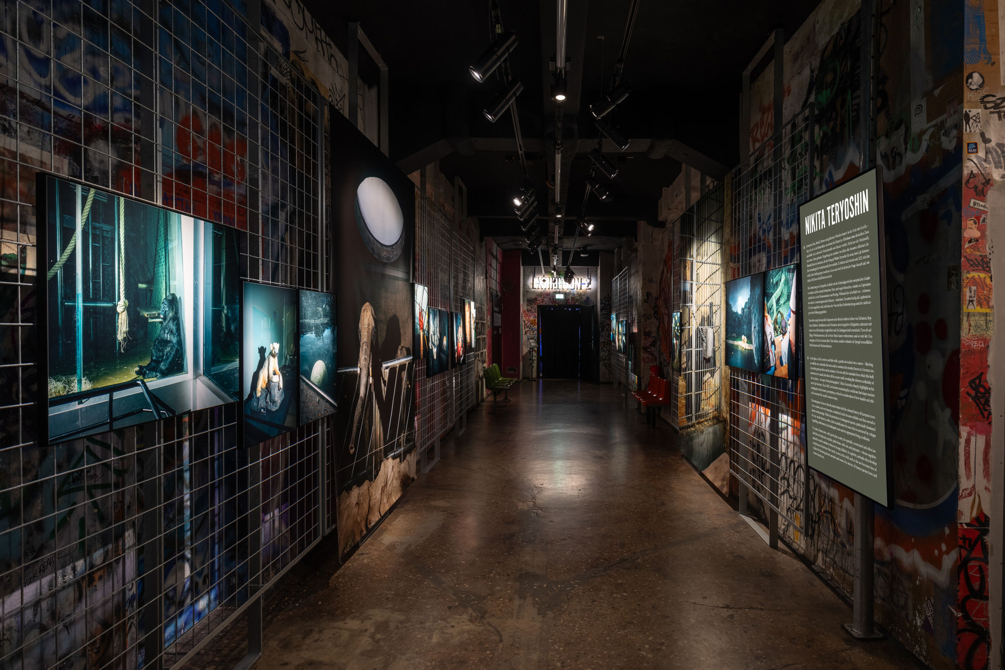 Nikita Teryoshin: Life Sentence