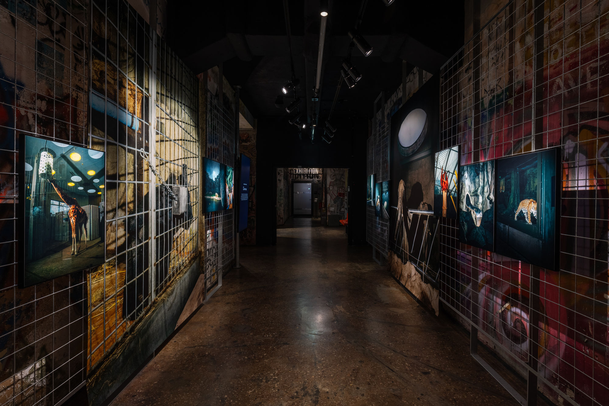 Nikita Teryoshin: Life Sentence