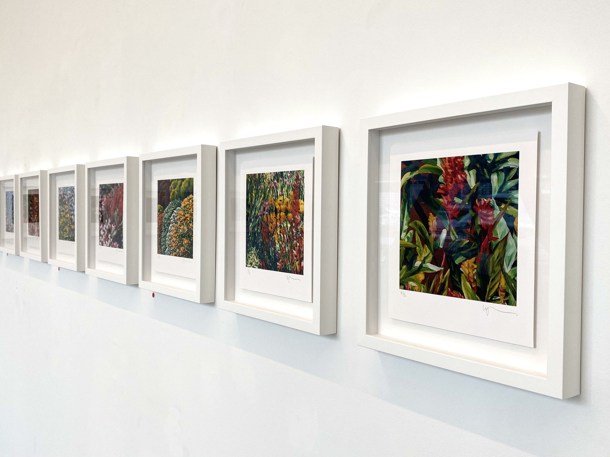 The Joy of Colour - Karl Maughan