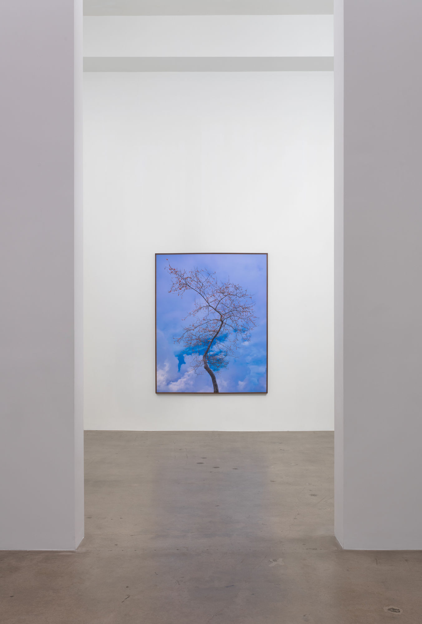 Amir Zaki: Nothing To Say