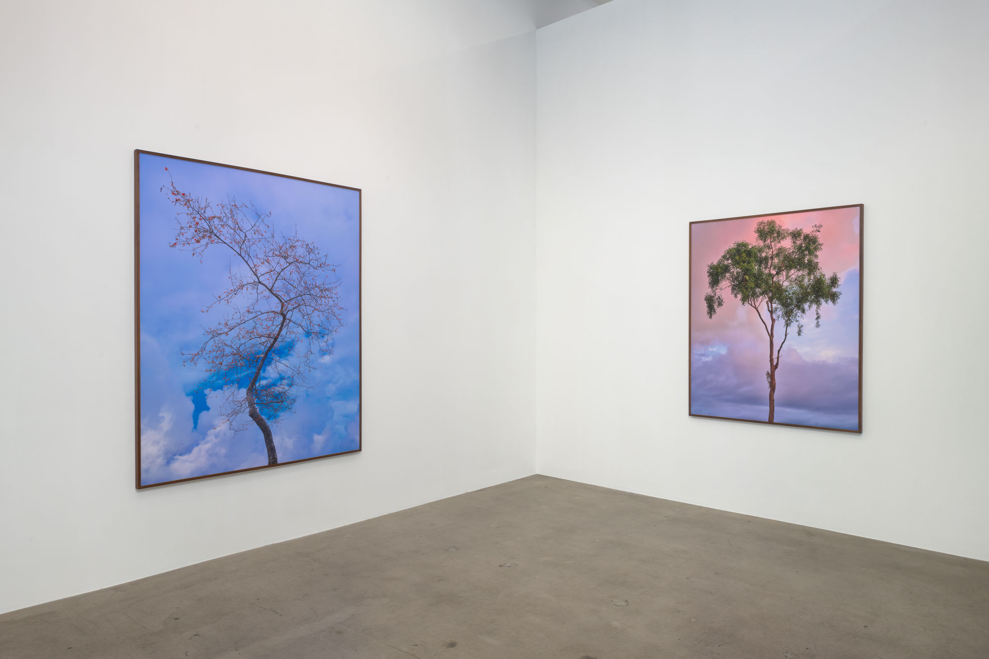 Amir Zaki: Nothing To Say