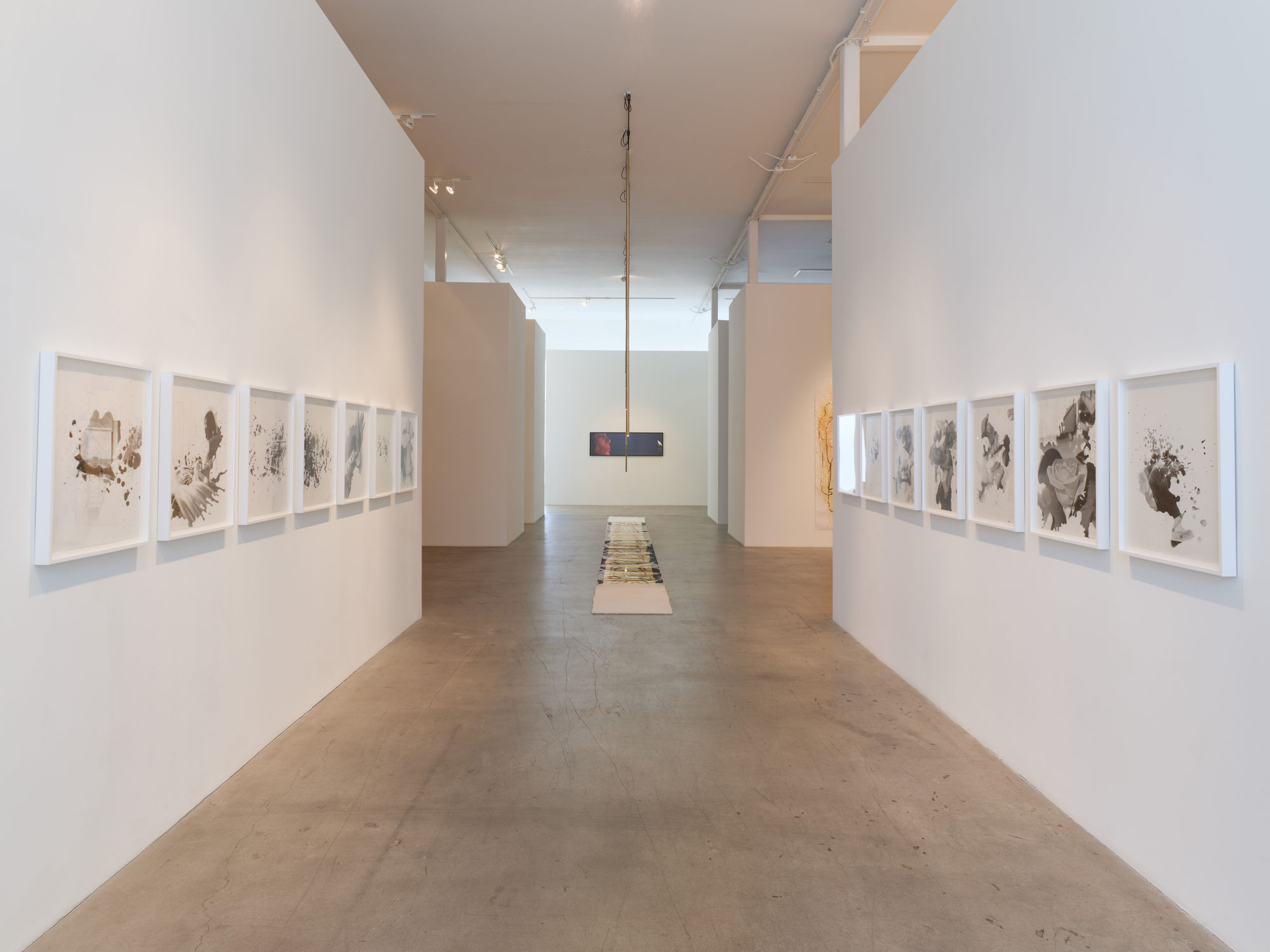 Farrah Karapetian: The Photograph is Always Now