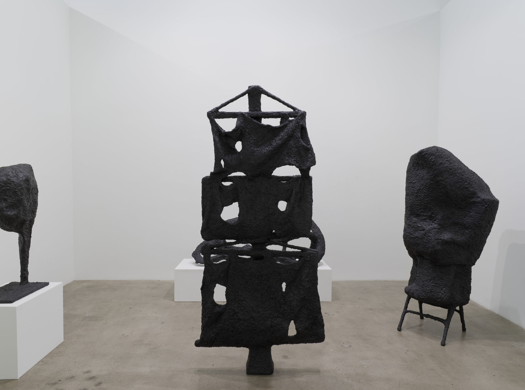 Ada Ihmels: Forest and the nuisance of our time