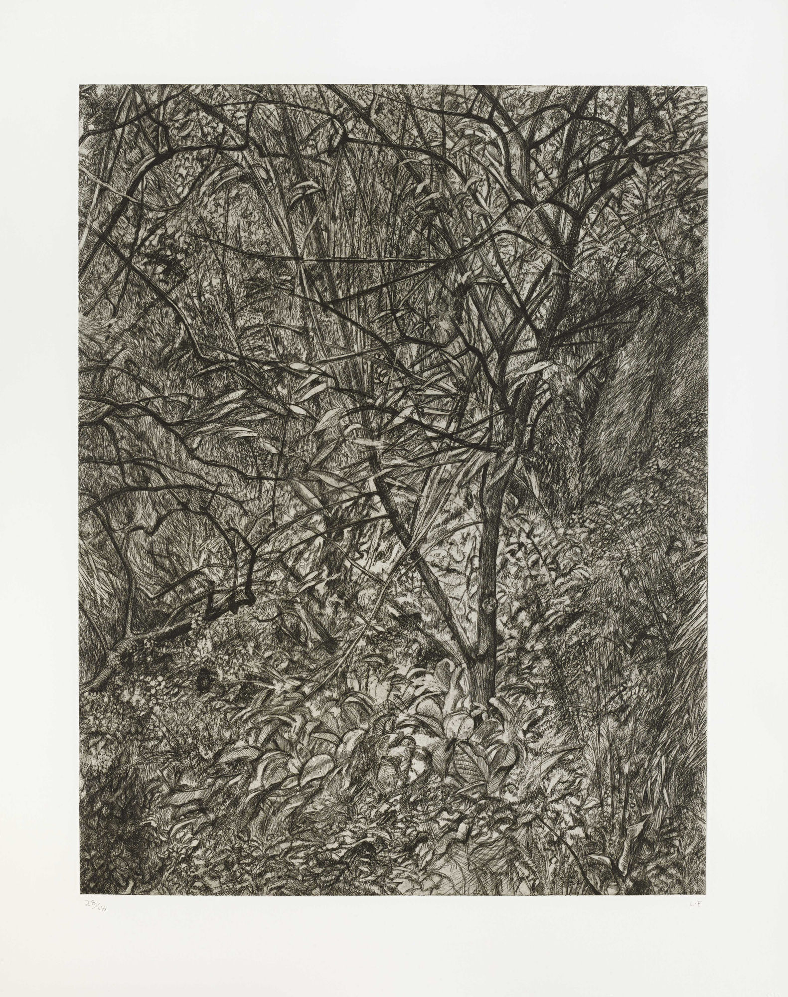 Garden in Winter, 1997-99