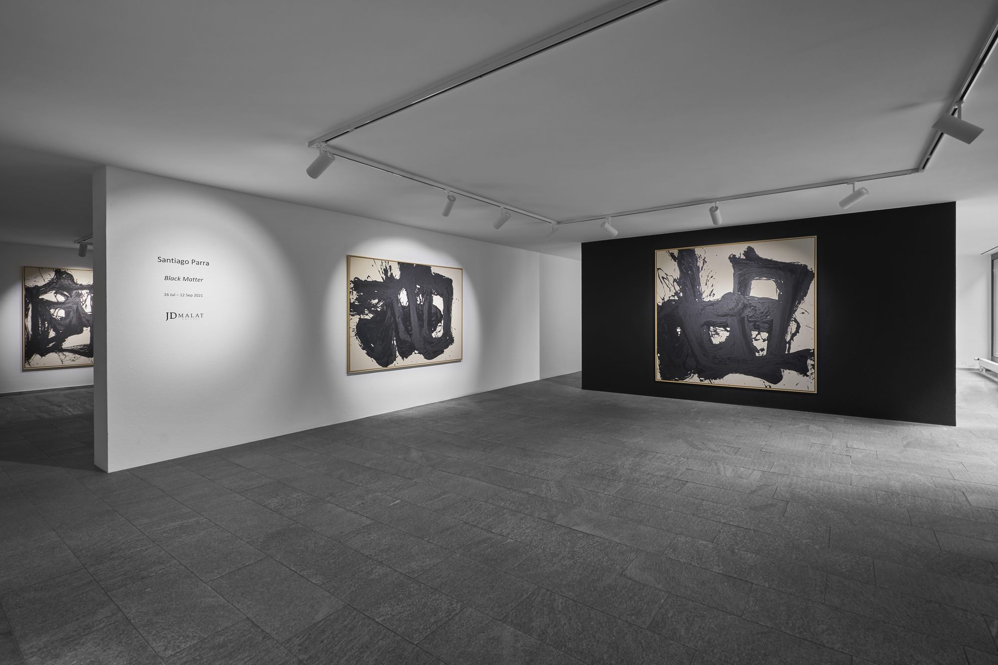Santiago Parra: Black Matter