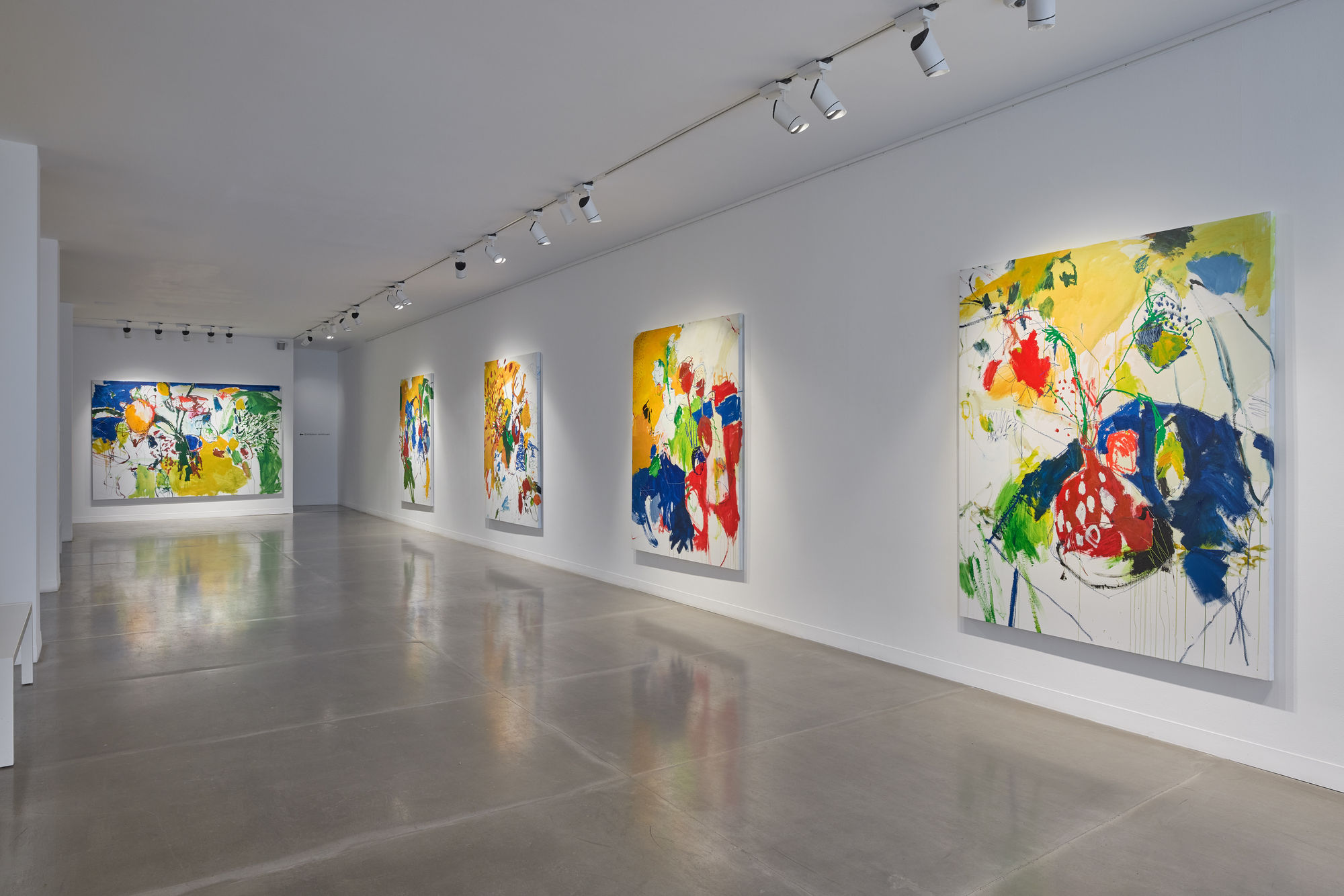 Luis Olaso: The Garden