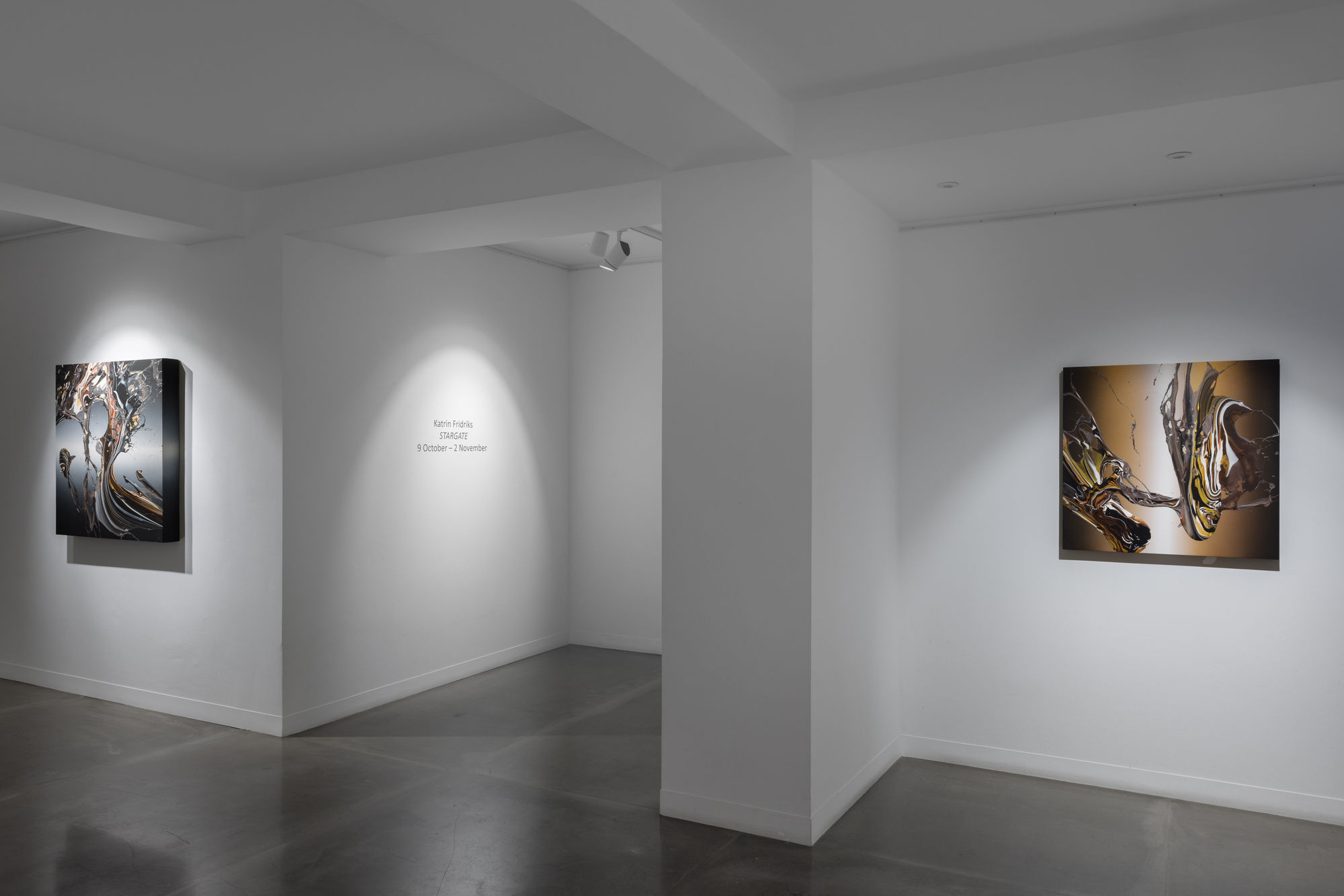 Katrin Fridriks: STARGATE