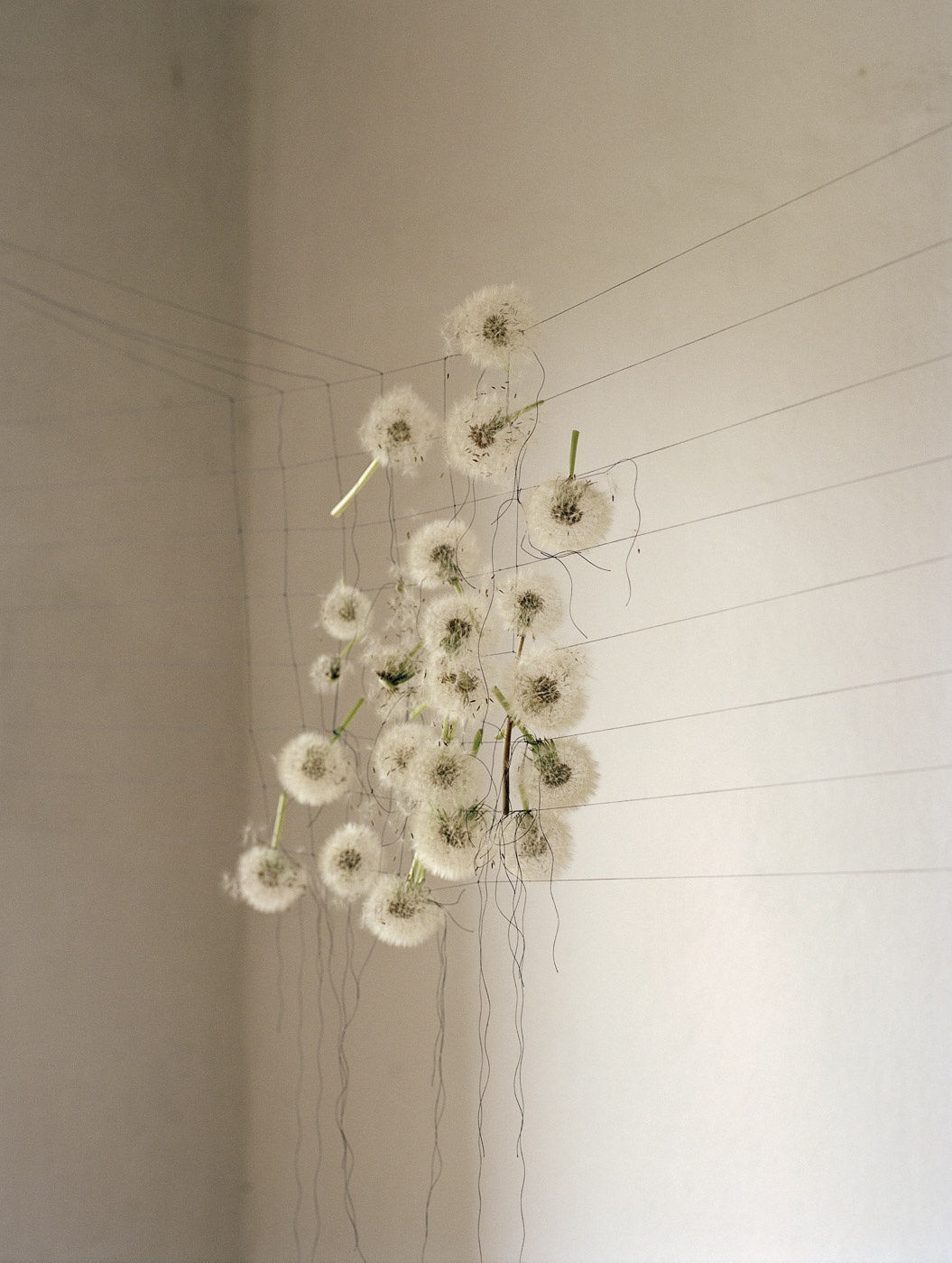 Viviane Sassen Pikin Slee & Elspeth Diederix In These Shadows