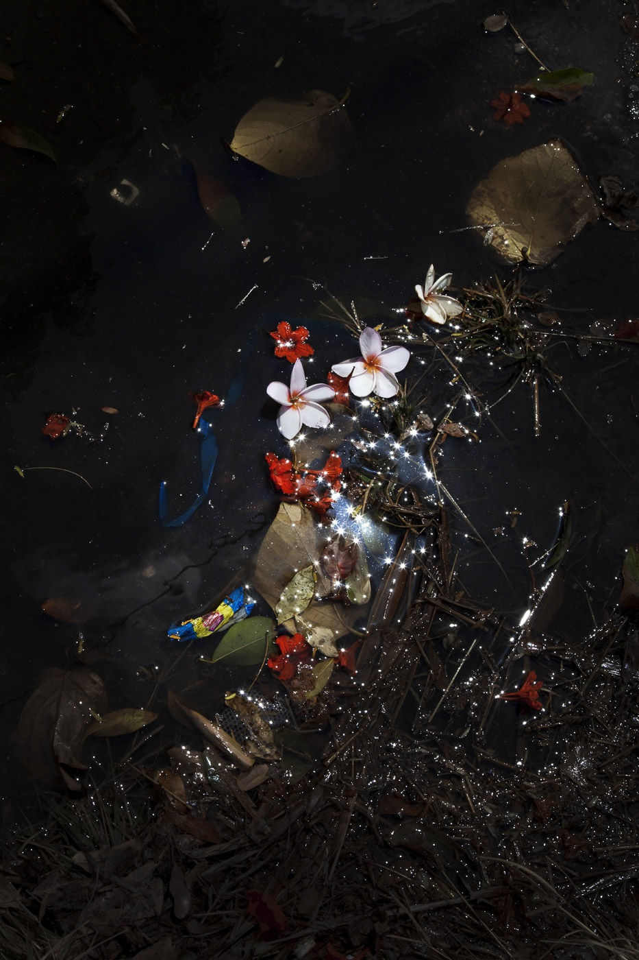 Viviane Sassen Pikin Slee & Elspeth Diederix In These Shadows