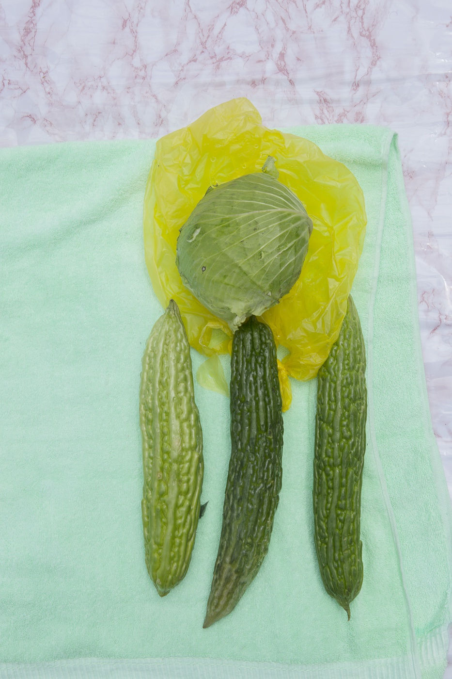 Viviane Sassen Pikin Slee & Elspeth Diederix In These Shadows