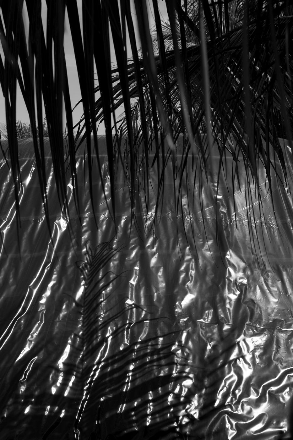 Viviane Sassen Pikin Slee & Elspeth Diederix In These Shadows