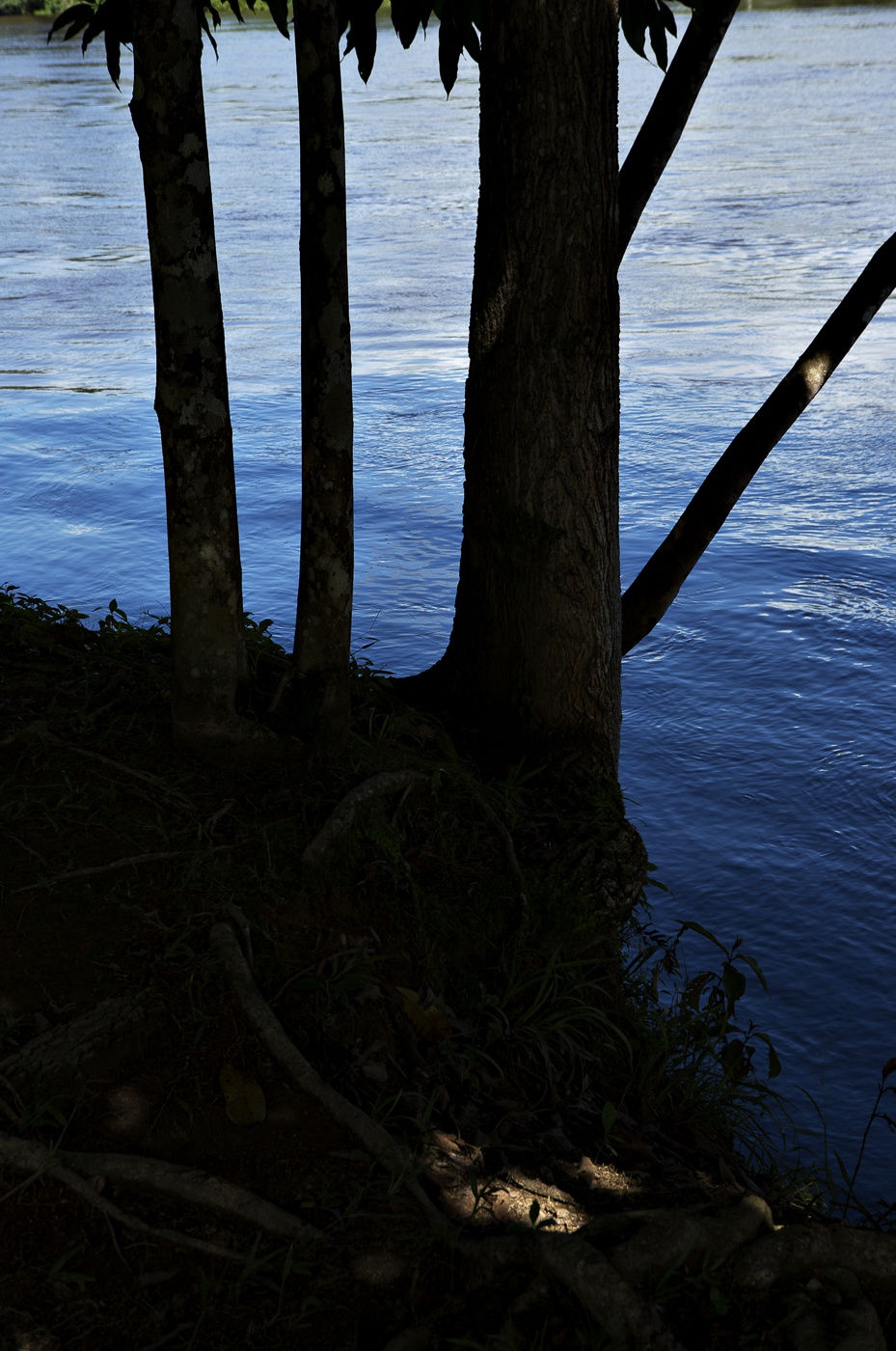 Viviane Sassen Pikin Slee & Elspeth Diederix In These Shadows