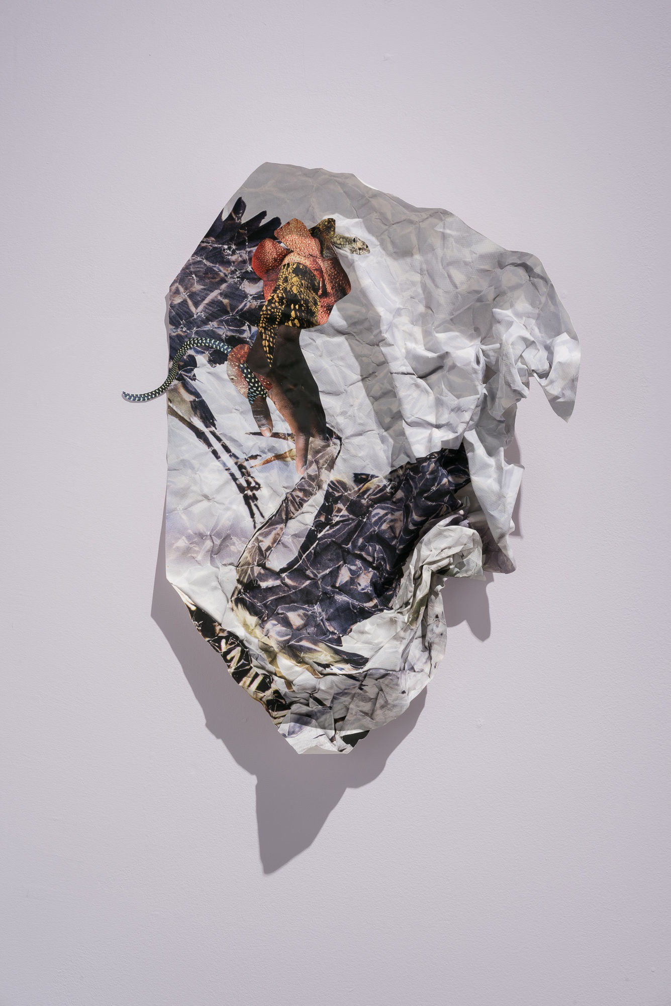 Suné Woods In Flight, 2016-2018 collage, pigment print 26 x 19 x 6" (66.04 x 48.26 x 15.24 cm) unique