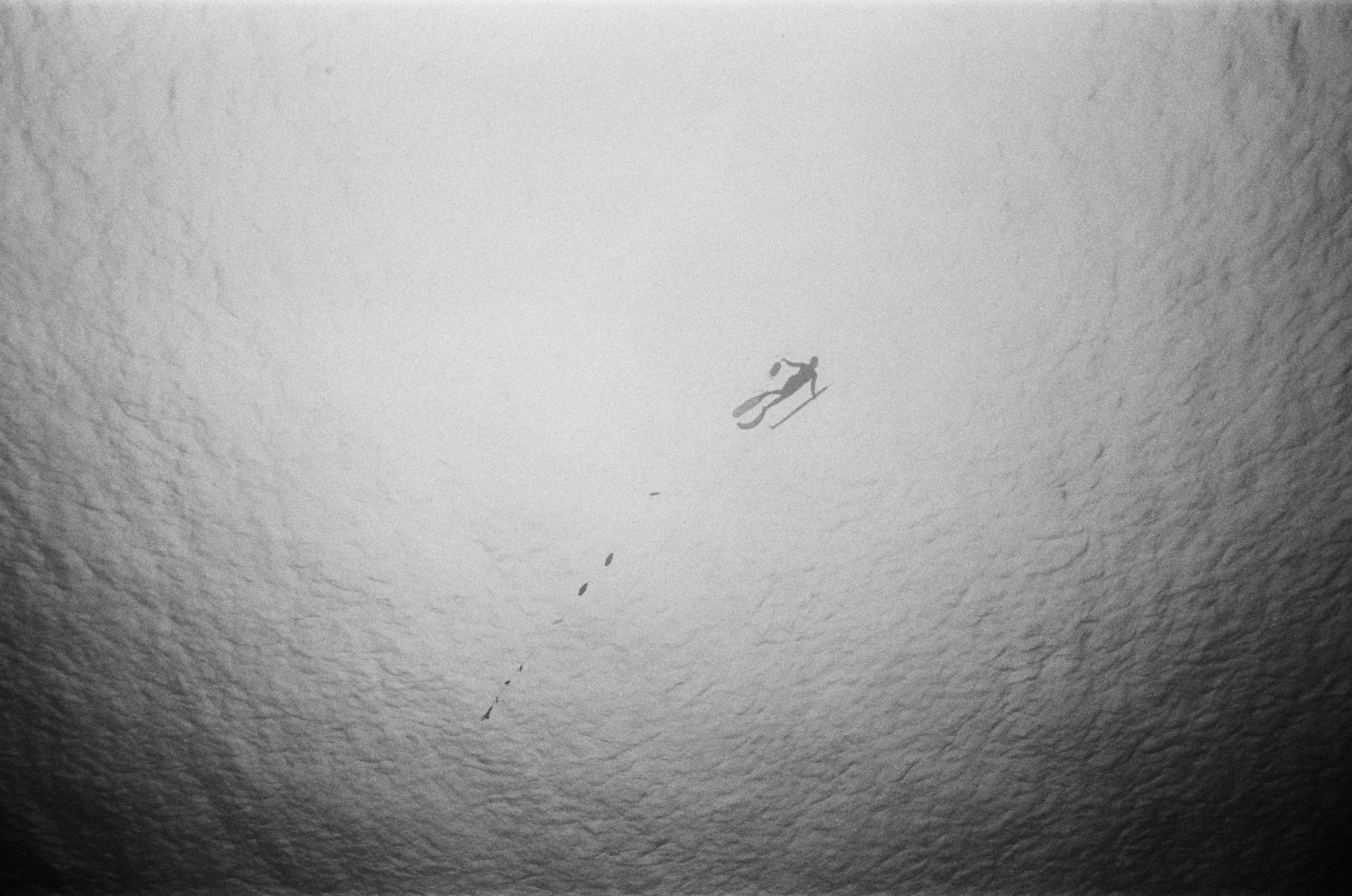 French Polynesia 08, 2019 Silver gelatin print 40 x 60 inches (49 x 69 inches framed) Edition of 3