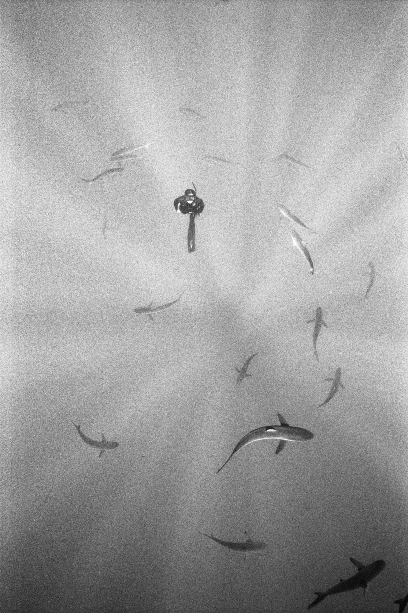Refraction 01, 2012 Silver gelatin print 50 x 34 inches (57 x 41 inches framed) Edition of 3