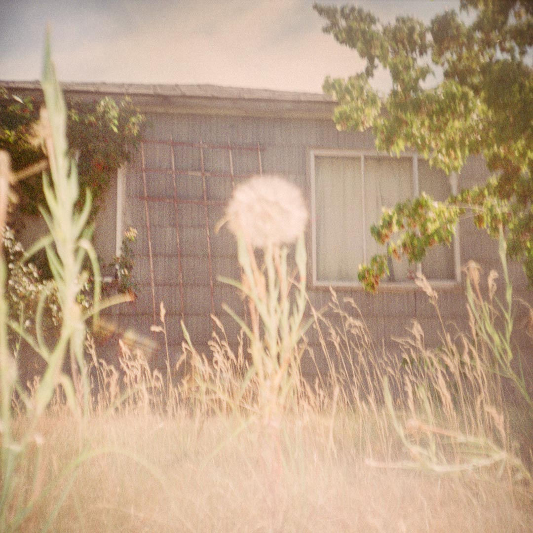 Untitled, #11554-b, 2014, digital pigment print, 11 x 11 inches