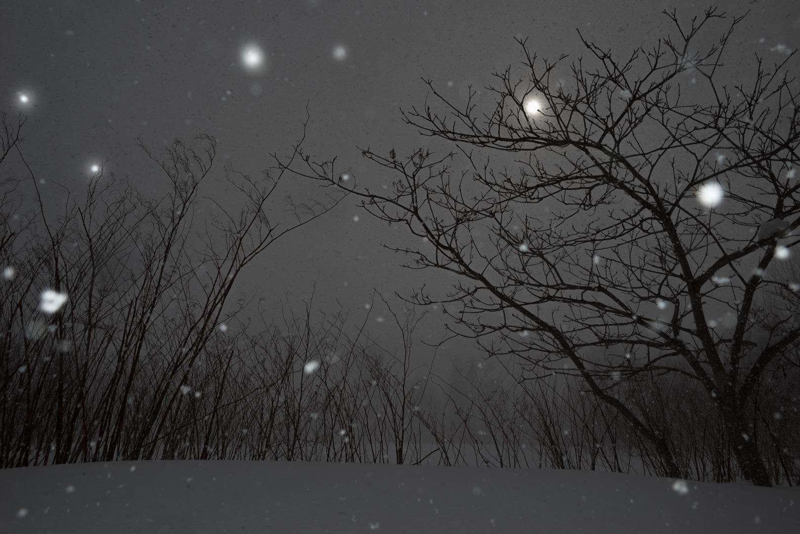 Untitled #11682-5547, 2016, archival pigment print, 38 x 57 inches